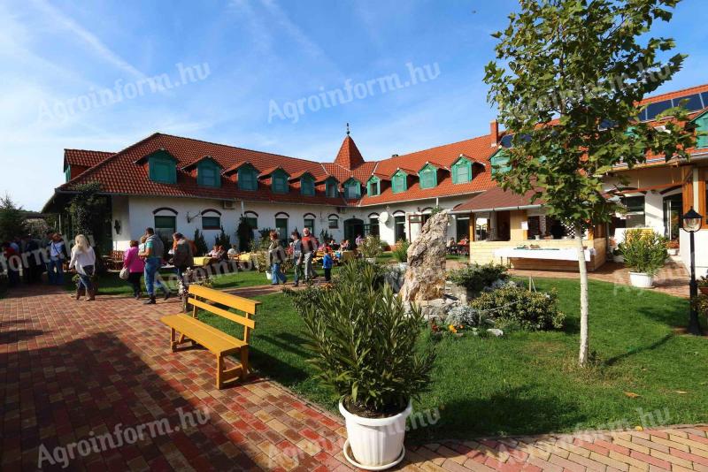 PÉcs közelében lovastanya eladó