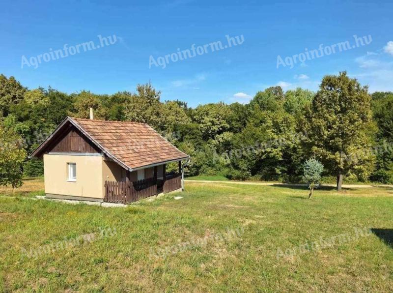 Bajánsenyei művelés alól kivett zártkert - kis házikó nagy telekkel - Őrségi Nemzeti park