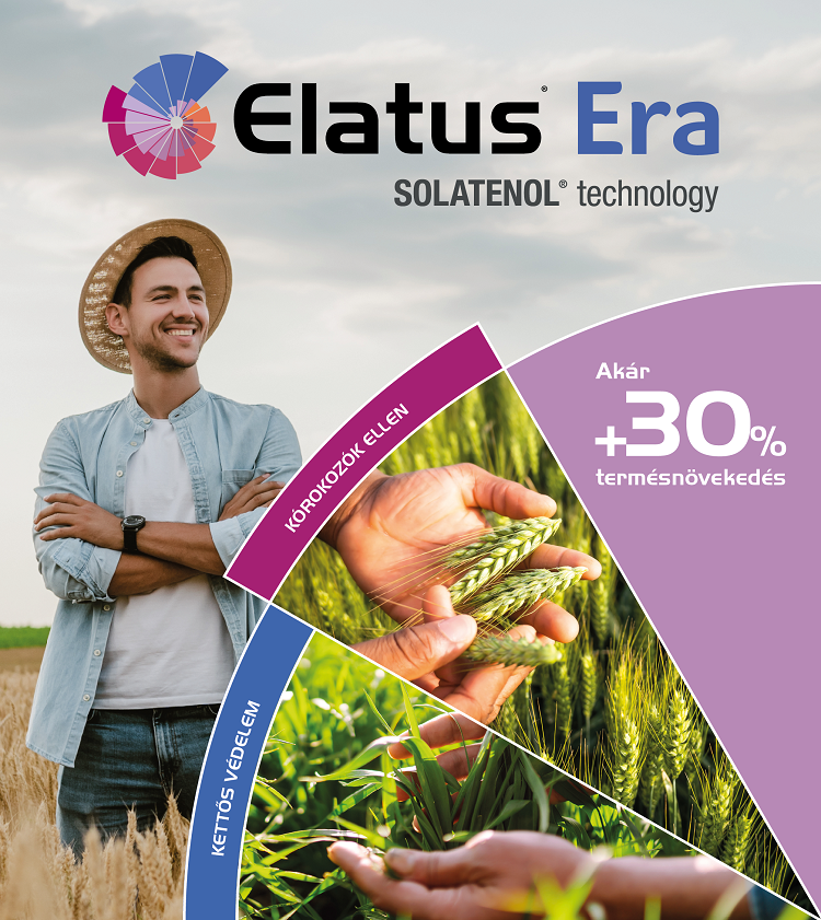elatus