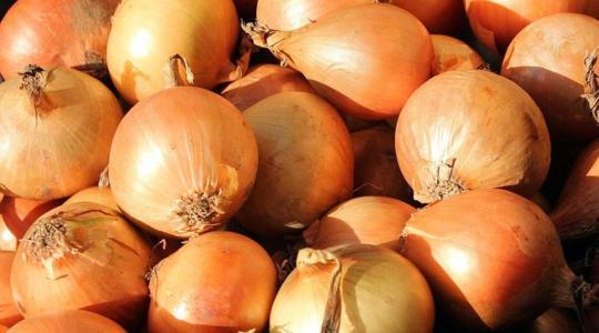 Árrobbanás előtt áll a hazai hagymapiac 