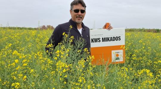 „Nem hangoskodnak, csak teszik a dolgukat” – Szécsi Zoltán a KWS repcehibridek mellett tette le a voksát